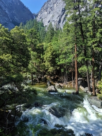 The fields were flooded and the falls were raging Yosemite CA 