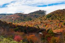 The first Autumn colors at Graveyard Fields North Carolina 