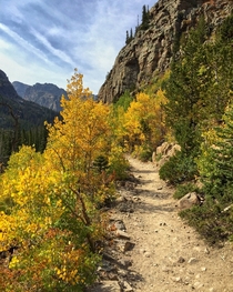 The first magnificent signs of autumn are here in Rocky Mountain National Park Colorado USA 