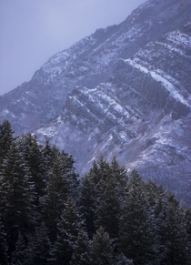 The first snowfall in Wasatch Mountains Utah 