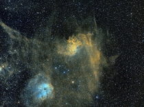 The Flaming Star Nebula and The Tadpoles