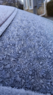 The frost on my car this morning x-post rmildlyinteresting 