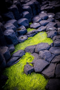 The Giants Causeway tide pools on a cliff North Ireland - 