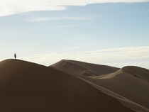 The Gobi desert 