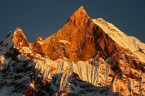 The golden glow of the sun illuminating Mount Machhapuchchhre Nepal 