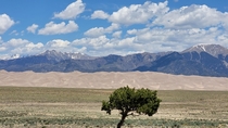 The Great Sand Dunes in the San Luis Valley in Colorado 