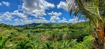 The green mountains of The Dominican Republic 