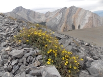 The high-altitude desolation of Idahos Lost River Range 