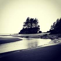 The island at Crescent beach Washington state 
