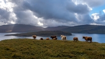 The Isle of Mull Scotland 