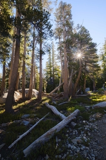 The last morning of a -day backpacking trip through Desolation Wilderness 