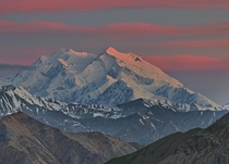 The last rays of the midnight sun hitting Denali seen from the backcountry Denali is one of the best mountains in the world to see alpenglow like this since its so far north the sunsets last for hours 