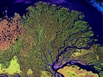 The Lena Delta in Siberia  NASA image