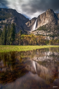 The lesser seen beauty of Yosemite - Yosemite Falls Yosemite National Park  by Jeb Buchman 