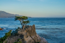The Lone Cypress Carmel CA 