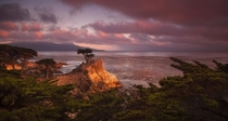 The Lone Cypress Monterey  Photo by Chase Dekker