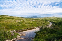 The lush landscape of the Avalon Peninsula Newfoundland 