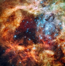 The massive young stellar grouping R 