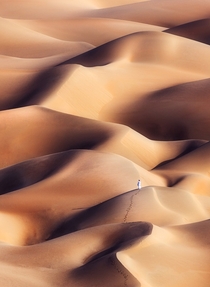 The mesmerizing beauty of the sand dunes of Rub al-Khali or Empy Quarter Desert near Liwa oasis UAE  Photo by Khalid Alhammadi