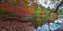 The Middlesex Fells in Boston 