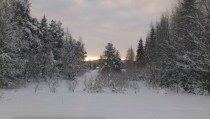 The midwinter-view from my grandmothers living room window in n Sweden 