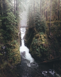 The mighty Sol Duc Falls in Olympic National Park 