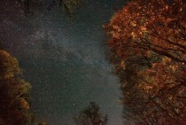 The Milky Way Galaxy spanning across autumn trees illuminated by a bonfire 