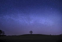 The Milkyway above a lonely Tree in Zittau Saxony Germany 