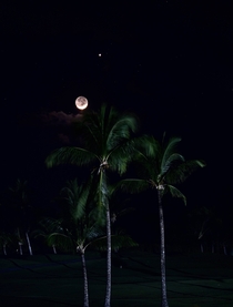 The Moon and Venus behind some coconut trees