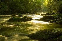 The morning sun spilling into Forney Creek Great Smoky Mountains Natl Park North Carolina USA 