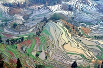 The Most Beautiful Rice Paddies in China 