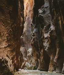 The Narrows a spectacular  mile return hike up the Virgin River in Zion National Park Utah 