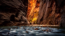 The Narrows - Zion National Park  x