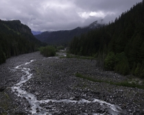 The Nisqually River Mt Rainier National Park