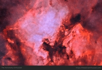 The North American and Pelican Nebulae