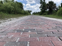 The Old Brick Road in Florida originally the main route to the Keys aka Dixie Highway Surreal to see this fairly primitive remaining piece near Espaola not that far from I or AA