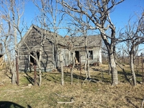The Old Family Homestead -Spanish Fort Texas x