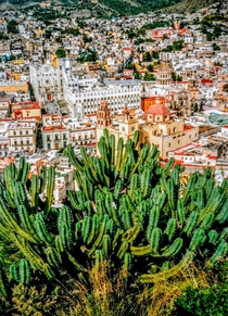 The one of a kind city of Guanajuato Mexico   x 
