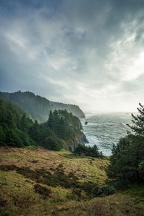 The Oregon Coast 