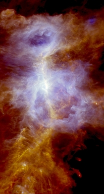 The Orion A star-formation cloud seen by ESAs Herschel space observatory 