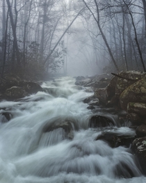 The Pigeon River in a foggy Smoky Mountain woodland 