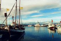 The port of Husavik Iceland