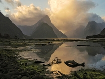 The primordial landscapes of South West New Zealand Some of the last vestiges of ancient Gondwanaland Low tide in Milford Sound