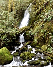 The Quinault Rainforest on Washingtons Olympic Peninsula is host to an abundance of waterfalls in the winter and spring 