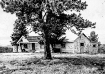 The ranch is gone The great-great grandfather built the main house in  Id gone back after  months on the River and several years wandering so I could be the th generation This is what I found 