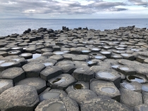 The rare beauty of the Giants Causeway Country Antrim Northern Ireland 