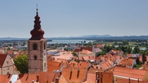 The red roofs of Ptuj Slovenia 
