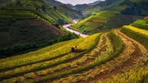 The rice field terraces of Thailand 