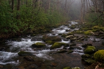 The rivers and streams are my favorite part of the Great Smoky Mountains 