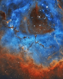 the rosette nebula